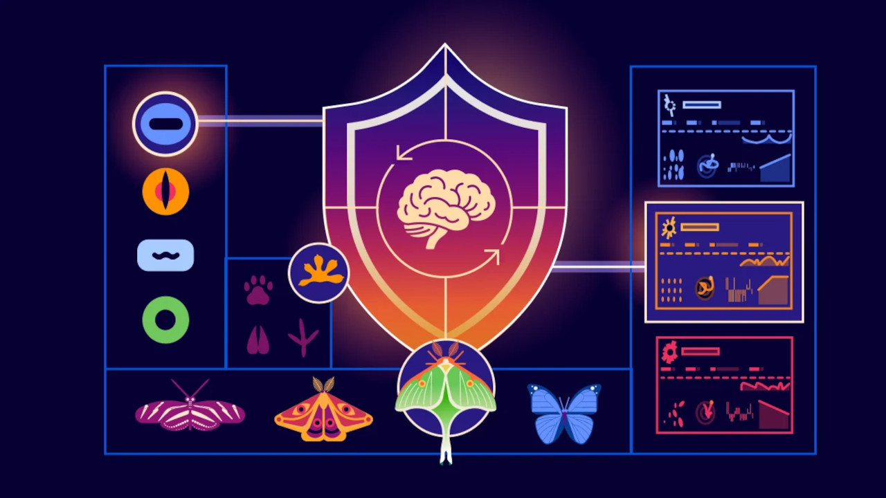 Adaptive Intelligence, la soluzione di CloudFlare per limitare gli attacchi basati su IA