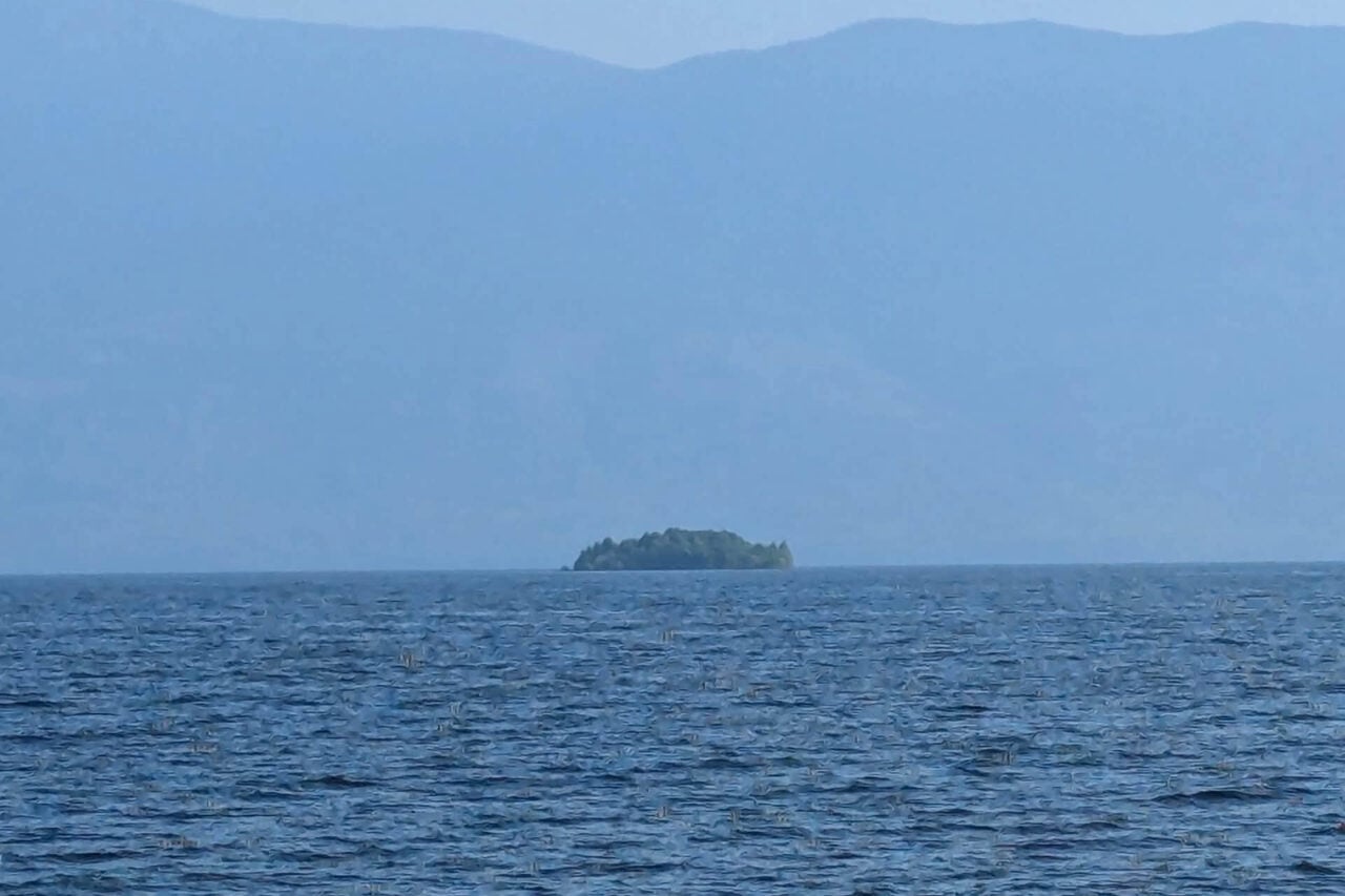 Au Canada, une immense forêt flottante joue à cache-cache