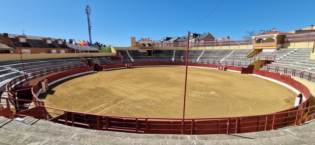 Varios pueblos se han unido en un torneo: pagar mil euros por acertar dónde cagará un toro