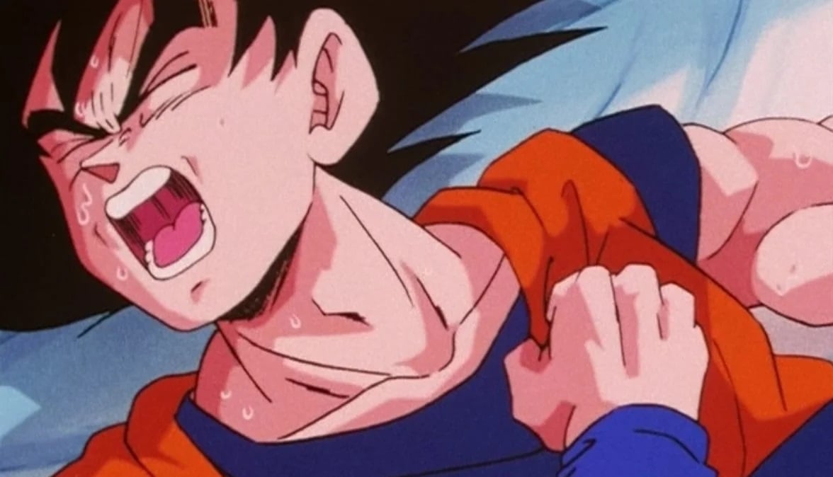 France Celebrates $7 Billion Dragon Ball Z Theme Park Paid For By Saudi Arabia: ‘You Know My Passion For Manga’