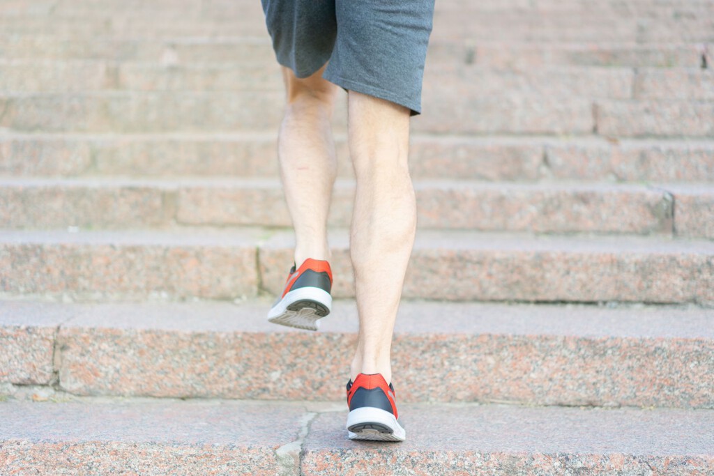 Caminar o subir escaleras a partir de los 60: la ciencia tiene claro qué ejercicio exige más a tus piernas