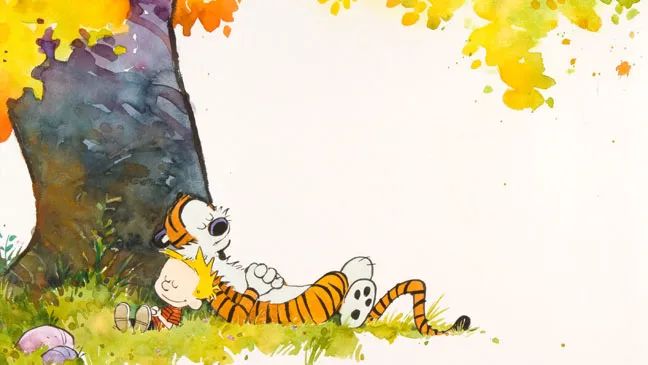 34 Years Later, the Best 'Calvin and Hobbes’ Quote About the Meaning of Life Is Still Second to None