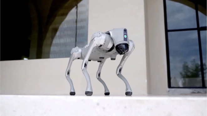 Il robot che imita i cani: decide da solo quando correre e saltare