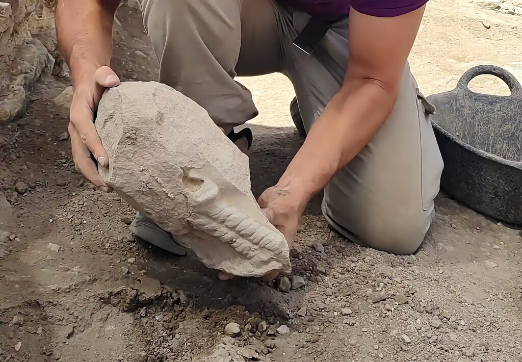 En Lezuza (Albacete) acaban de encontrar una cabeza de 2.400 años y apunta a ser pieza que faltaba para dar con la necrópolis de Libisosa