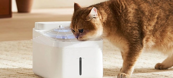 Xiaomi ha una nuova fontanella smart per cani e gatti che sterilizza anche lacqua