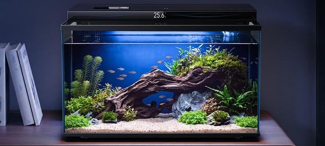 Xiaomi lancia un acquario smart che pensa quasi a tutto, anche a nutrire i pesci