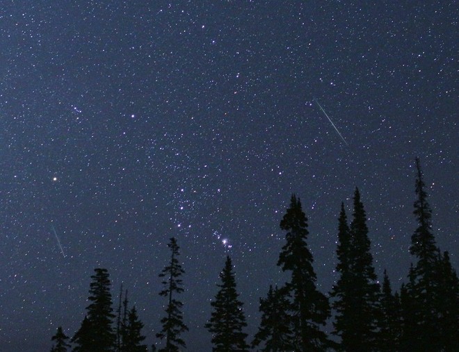 Perseidi 2026, arriva la notte perfetta: fino a 100 stelle cadenti ogni ora