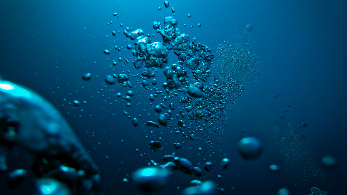 人間が引き起こした「海底のメタンガス漏えい」の影響を海の生物たちが軽減したことが判明