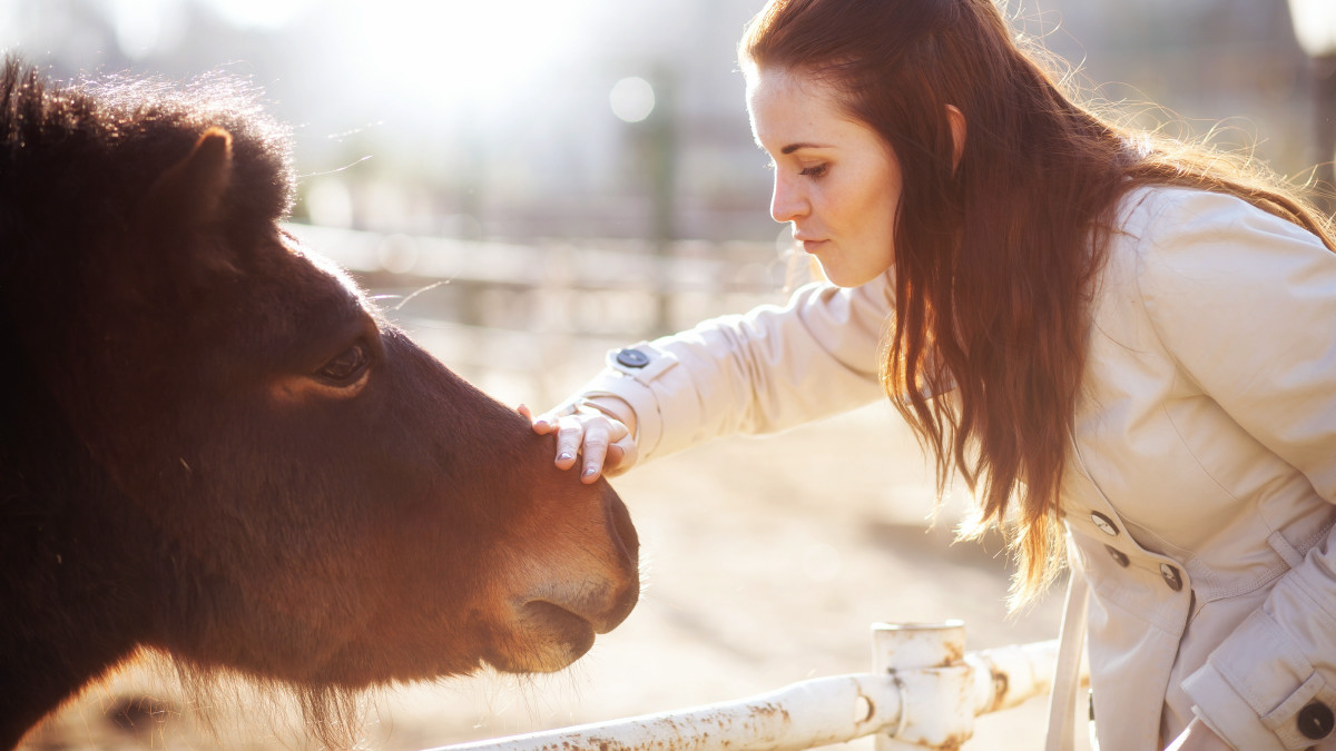 「動物と人間のコミュニケーション」を実現するためにAIを使うことで動物を搾取したり傷つけたりする危険があるとの指摘