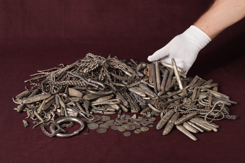 Un jardinero ha desenterrado en Dinamarca el mayor tesoro de plata vikingo: cientos de lingotes, monedas y broches del siglo X