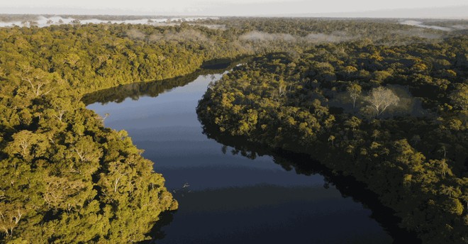 Per salvare lAmazonia si inizia dalle città: ora entra in gioco lAI
