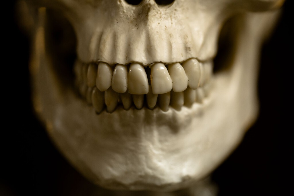 Nuestros antepasados ya buscaban colocarse hace 25.000 años. Unos dientes acaban de dejar la primera prueba