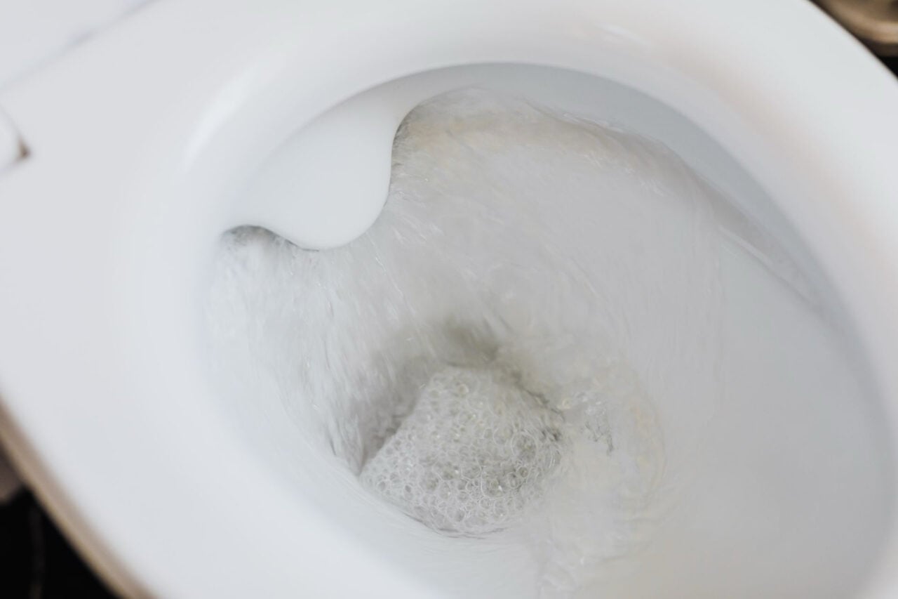 Fermez le couvercle : la chasse d’eau projette des particules à hauteur de visage