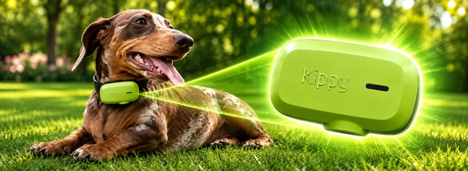 Ho provato "lo smartwatch per cani" con GPS e RETE DATI: vale la pena?