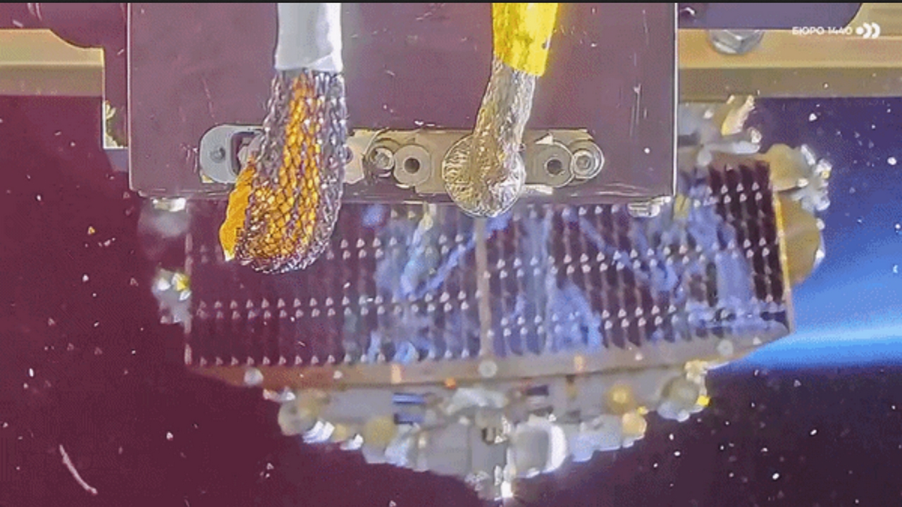 I satelliti Rassvet (Starlink russo) di Bureau 1440 non starebbero funzionando come previsto