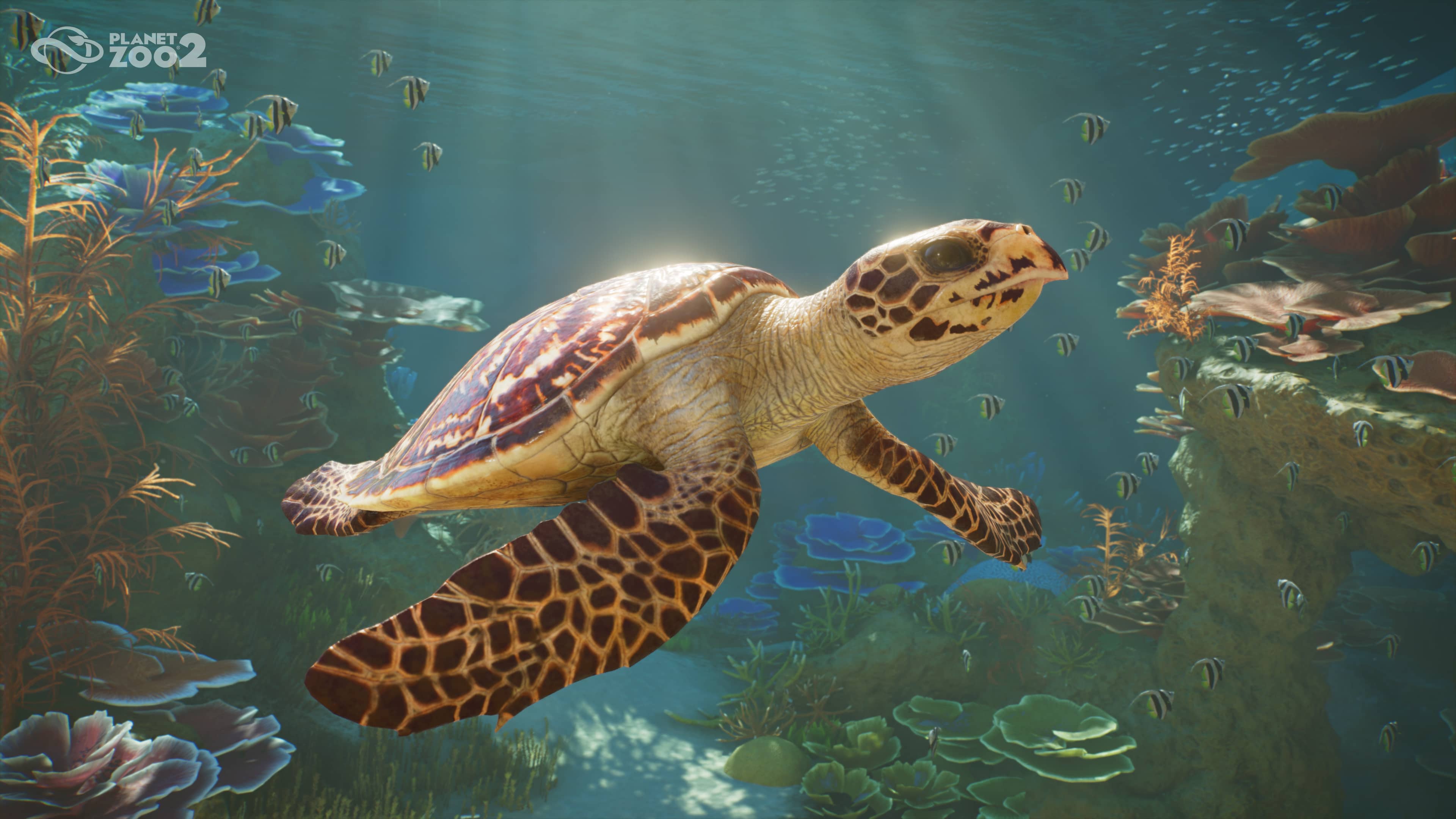 Frontier Developments (Planet Zoo, Jurassic World Evolution) va travailler sur un jeu Disney, sans doute lié à Disneyland